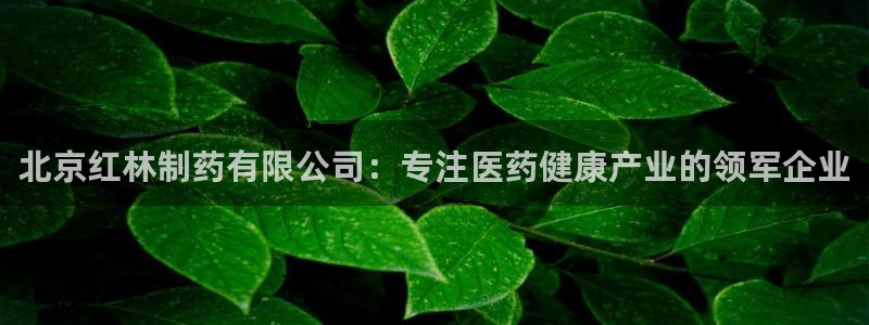 ag九游老哥俱乐部：北京红林制药有限公司：专注医药健康产业的领军企业