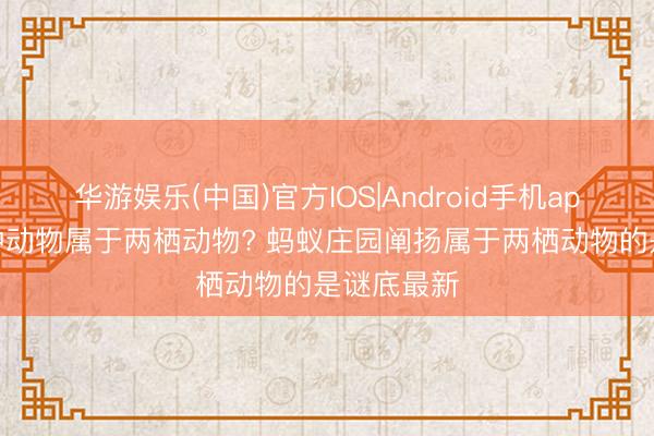 华游娱乐(中国)官方IOS|Android手机app下载 哪种动物属于两栖动物? 蚂蚁庄园阐扬属于两栖动物的是谜底最新