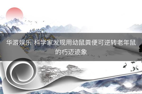 华游娱乐 科学家发现用幼鼠粪便可逆转老年鼠的朽迈迹象
