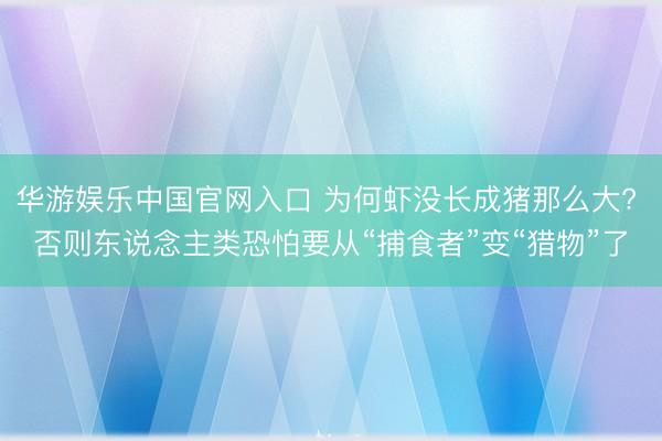华游娱乐中国官网入口 为何虾没长成猪那么大? 否则东说念主类恐怕要从“捕食者”变“猎物”了