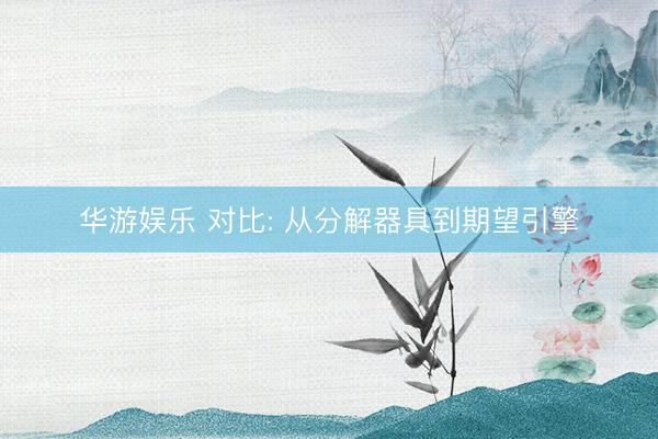 华游娱乐 对比: 从分解器具到期望引擎