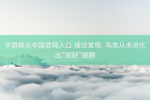 华游娱乐中国官网入口 接洽发现: 鸟类从未进化出“完好”翅膀