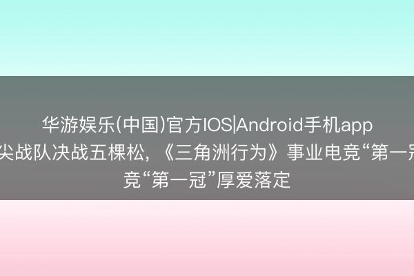 华游娱乐(中国)官方IOS|Android手机app下载 6支顶尖战队决战五棵松, 《三角洲行为》事业电竞“第一冠”厚爱落定