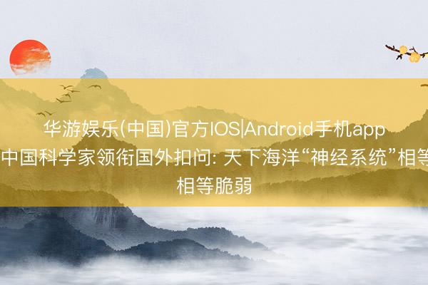 华游娱乐(中国)官方IOS|Android手机app下载 中国科学家领衔国外扣问: 天下海洋“神经系统”相等脆弱