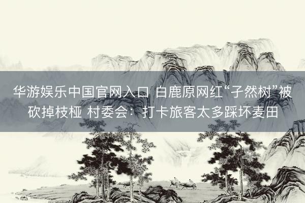 华游娱乐中国官网入口 白鹿原网红“孑然树”被砍掉枝桠 村委会:打卡旅客太多踩坏麦田