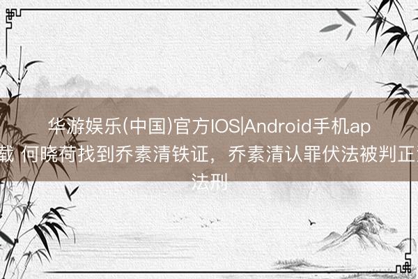 华游娱乐(中国)官方IOS|Android手机app下载 何晓荷找到乔素清铁证,乔素清认罪伏法被判正法刑