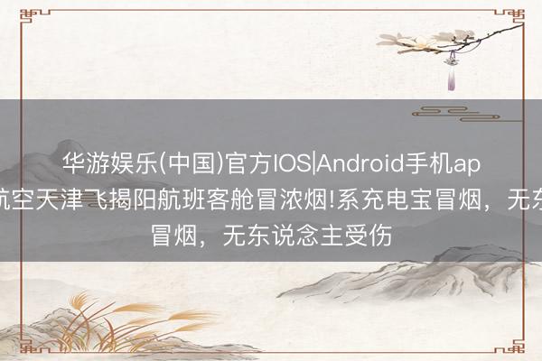 华游娱乐(中国)官方IOS|Android手机app下载 天津航空天津飞揭阳航班客舱冒浓烟!系充电宝冒烟，无东说念主受伤